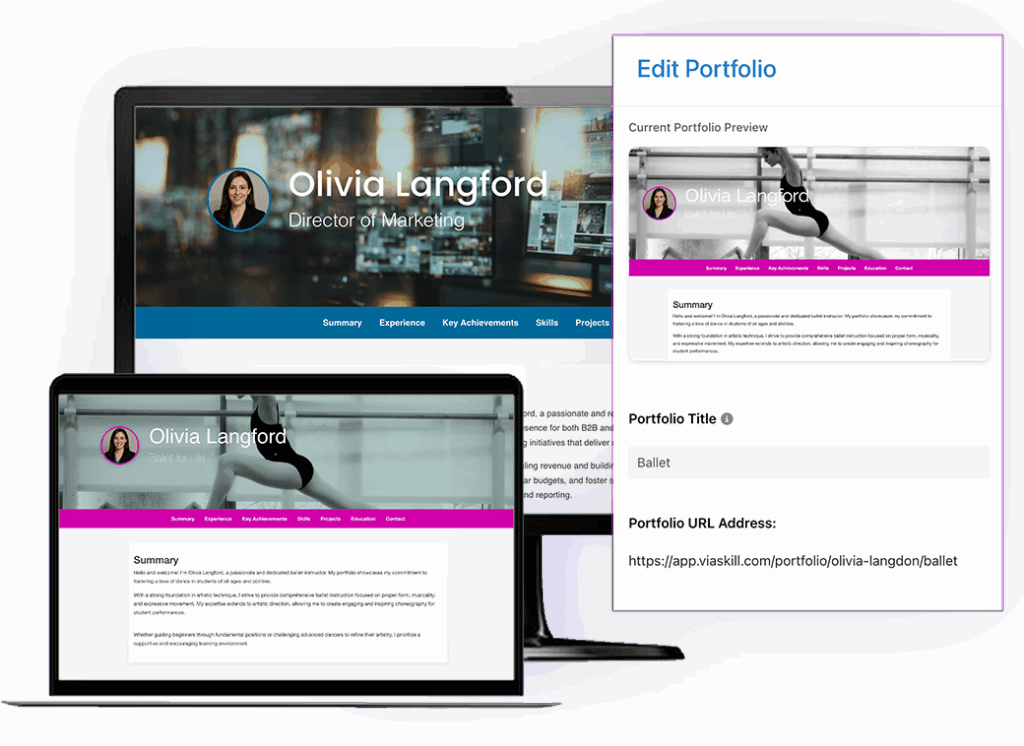 Portfolio hero preview