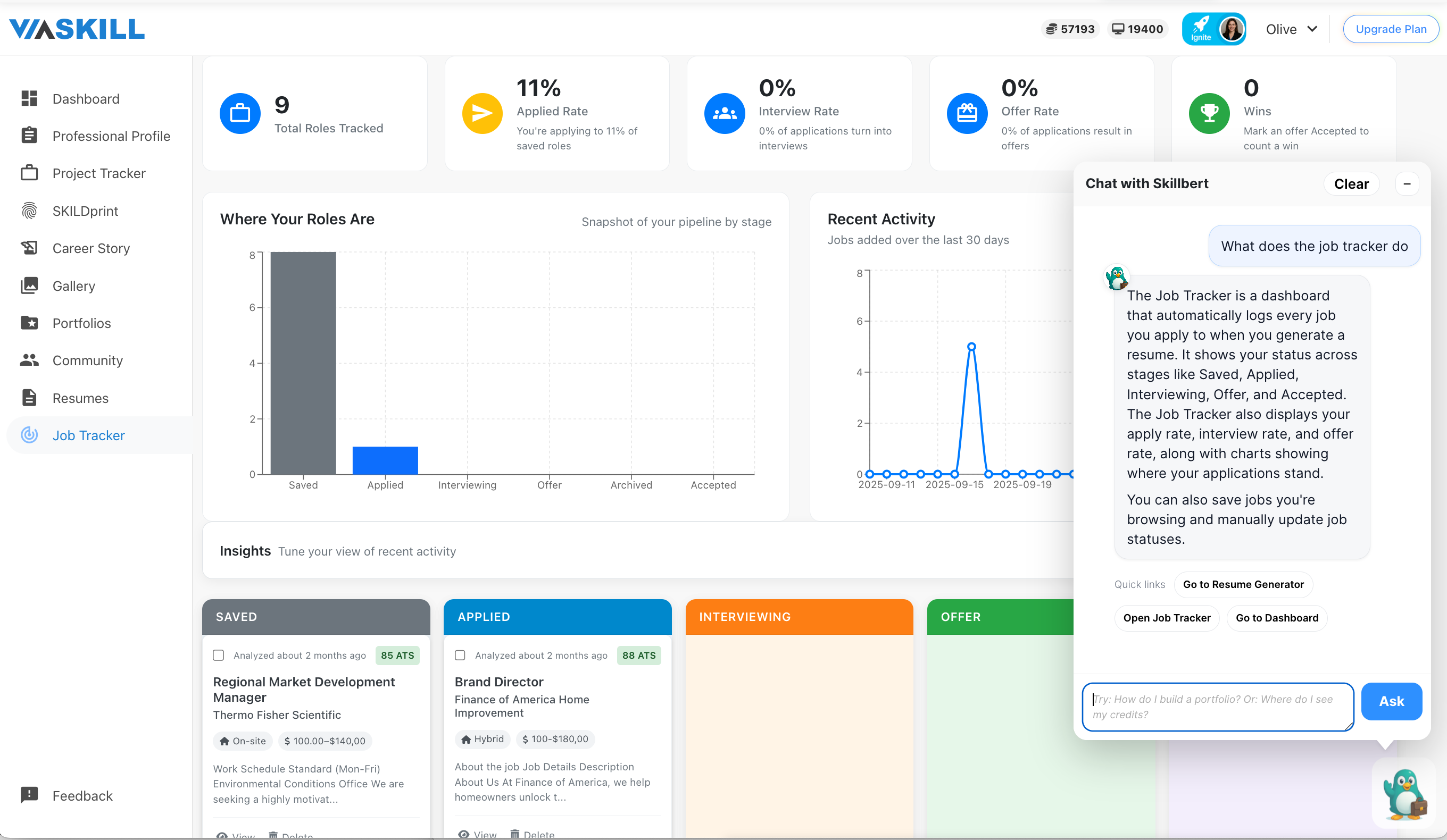 Skillbert open on the Job Tracker, answering how the page works